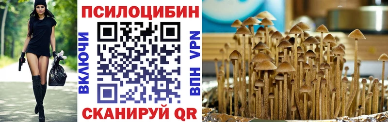 наркошоп  Гороховец  Псилоцибиновые грибы GOLDEN TEACHER 